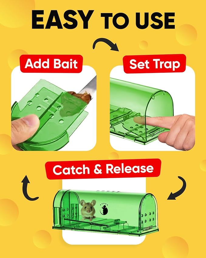 4 Pack - Green