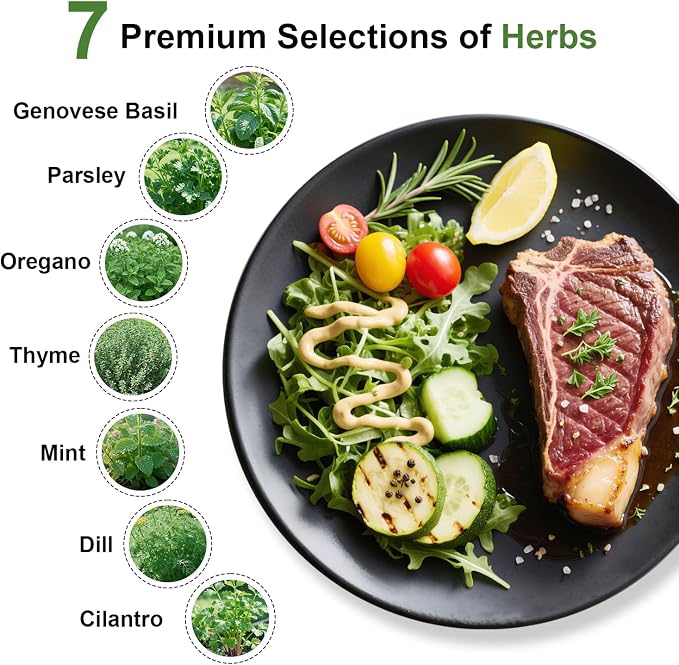 Herb