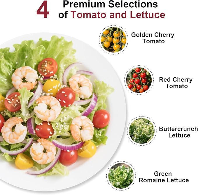 Majero-Spring Mix Salad