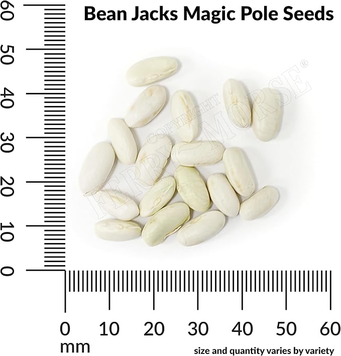 Bean Jack's Magic Pole Seed Multipack - 7 Pack