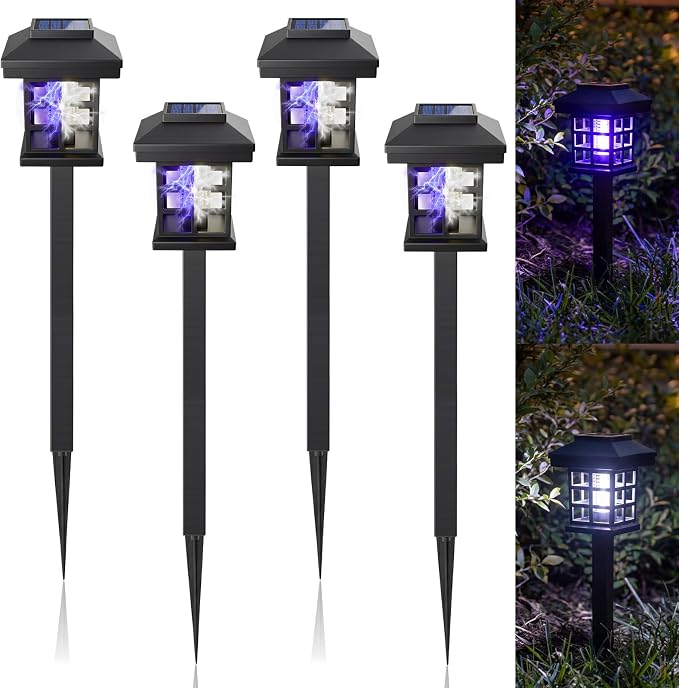 Black White Purple