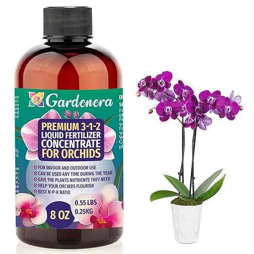 ORCHIDS