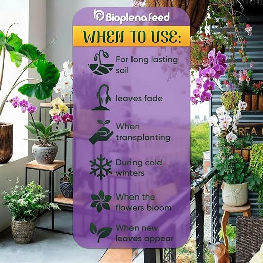 12_orchids