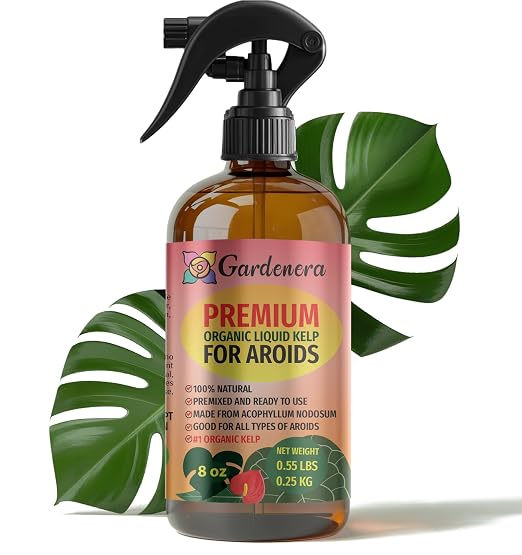 AROID Plants