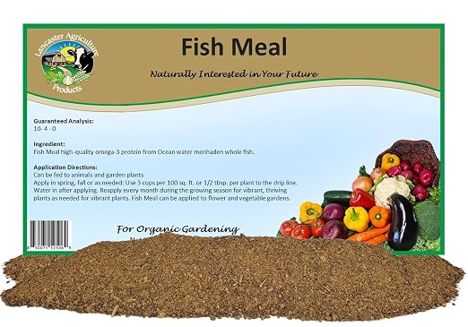 Fish Meal