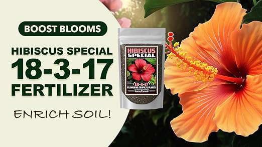 Tropical Flower Special