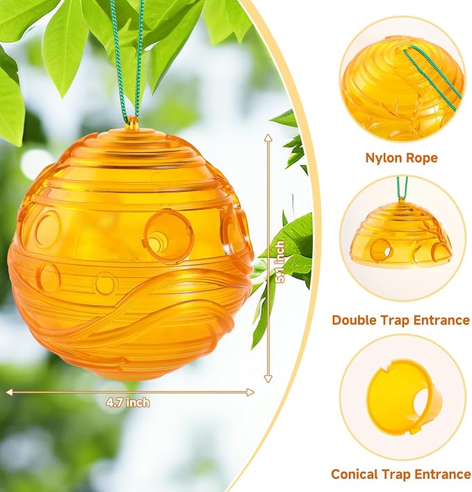 HONEY ORANGE