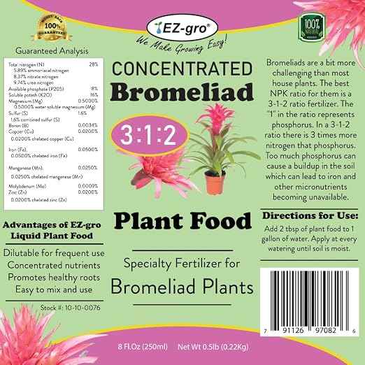 Bromeliad