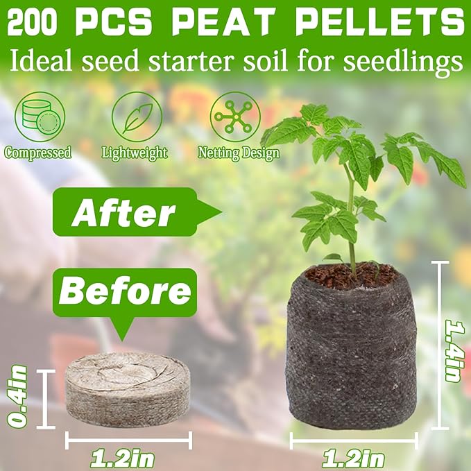 200pcs