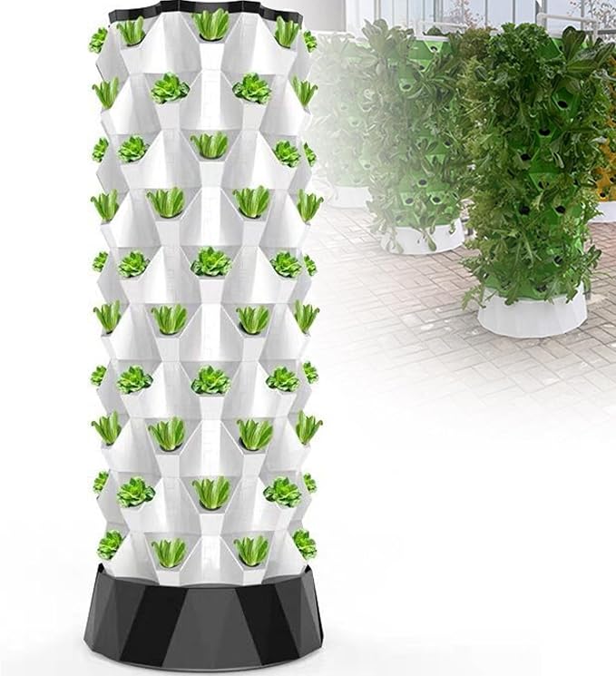 6Layers