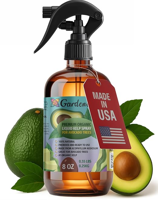 AVOCADO