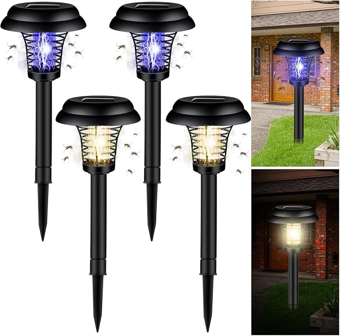 Black Exterior, Purple, Warm Light
