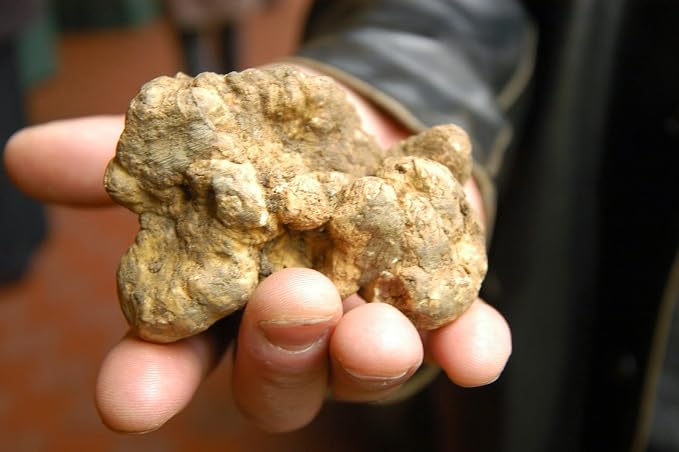 __DEFAULT__