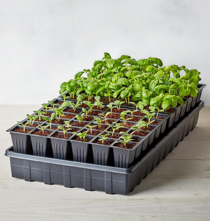 72 Cell Self Watering Kit