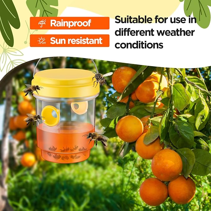 Yellow, Green, Orange