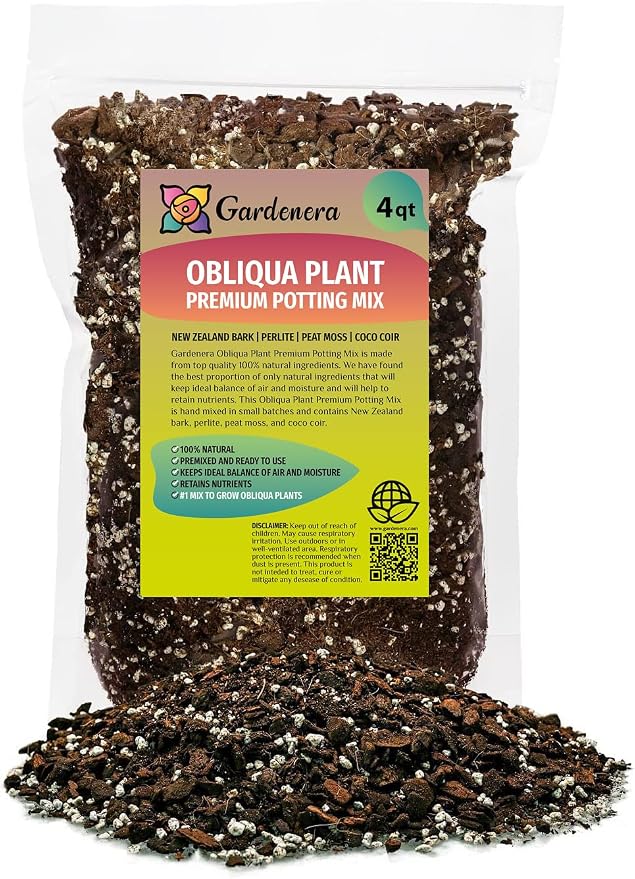 Monstera Obliqua Soil Mix