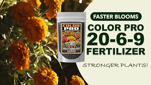 Color Pro