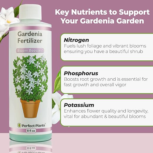Gardenia Fertilizer