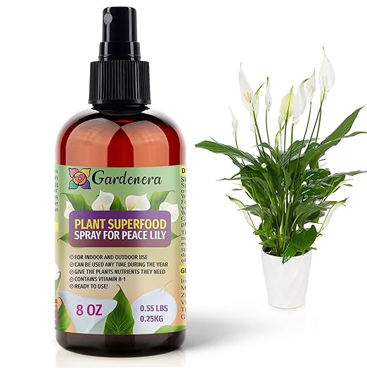 PEACE LILY Plants Superfood