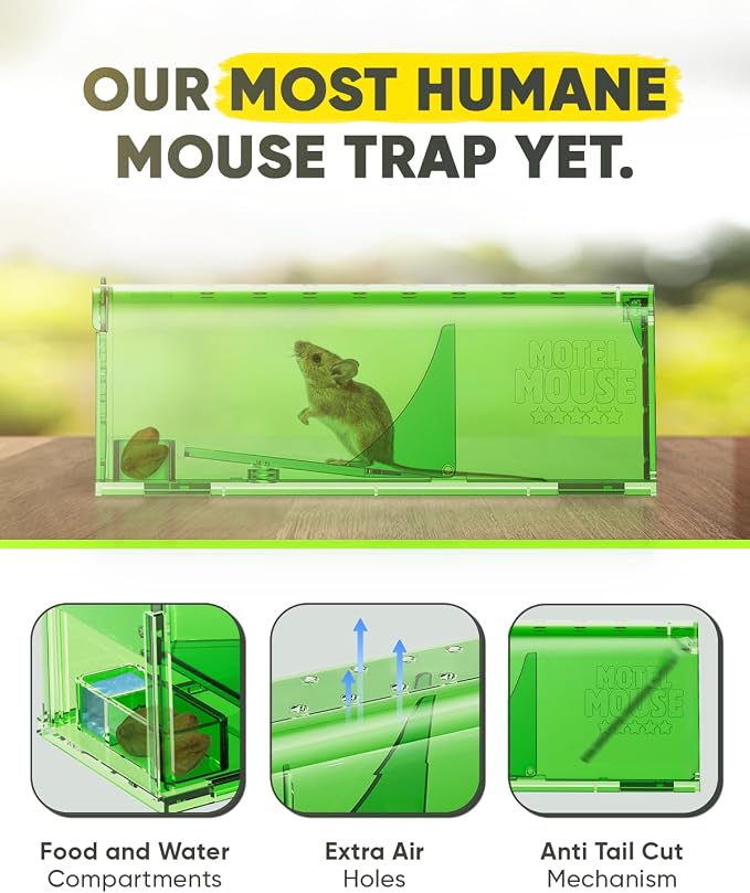 Regular Green