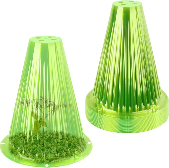 Green 20pc