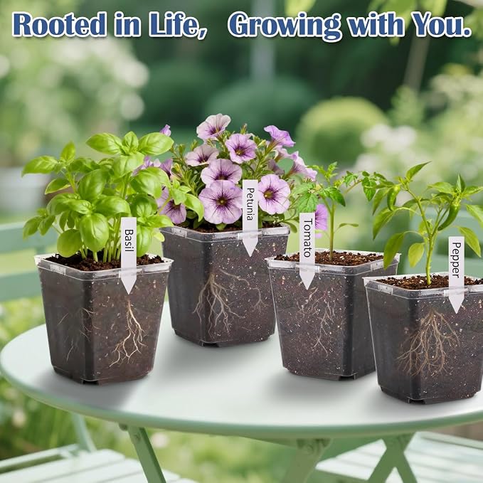 Clear Pot+lable-30p