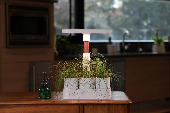 Good Root; Tabletop Planter; White; Dark Oak