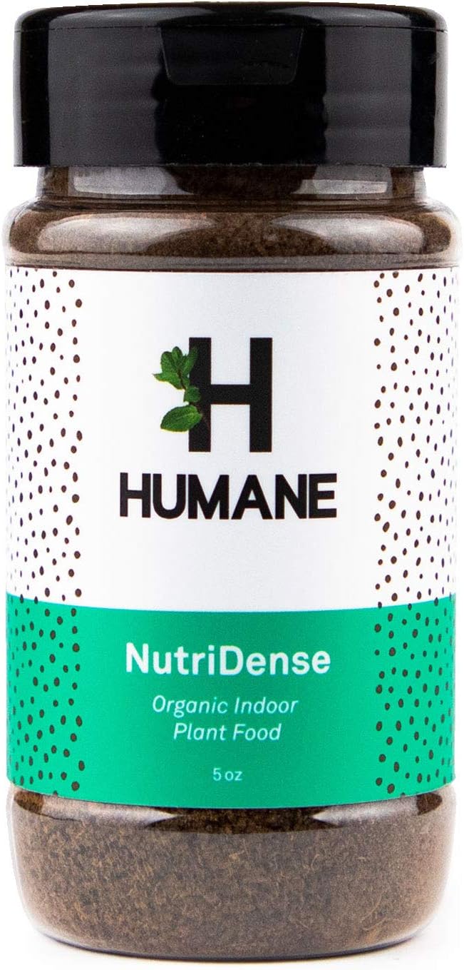 All-Purpose