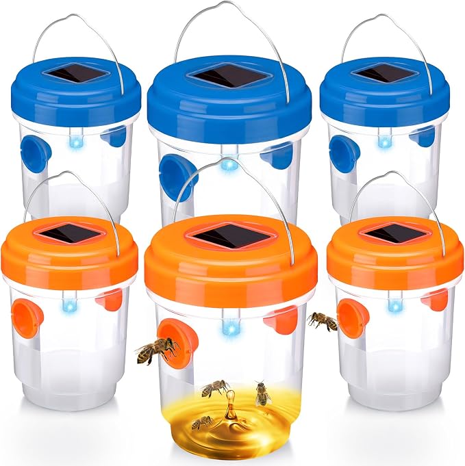 Orange, Blue