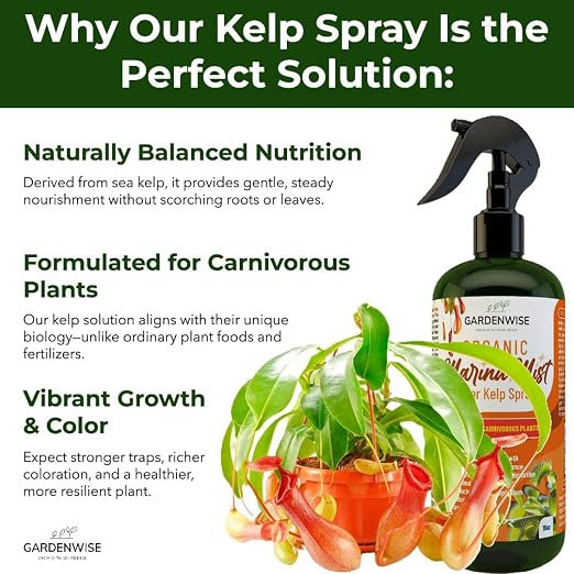 Marina Mist Carnivorous Plant Spray