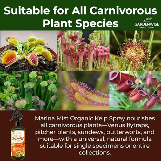 Marina Mist Carnivorous Plant Spray