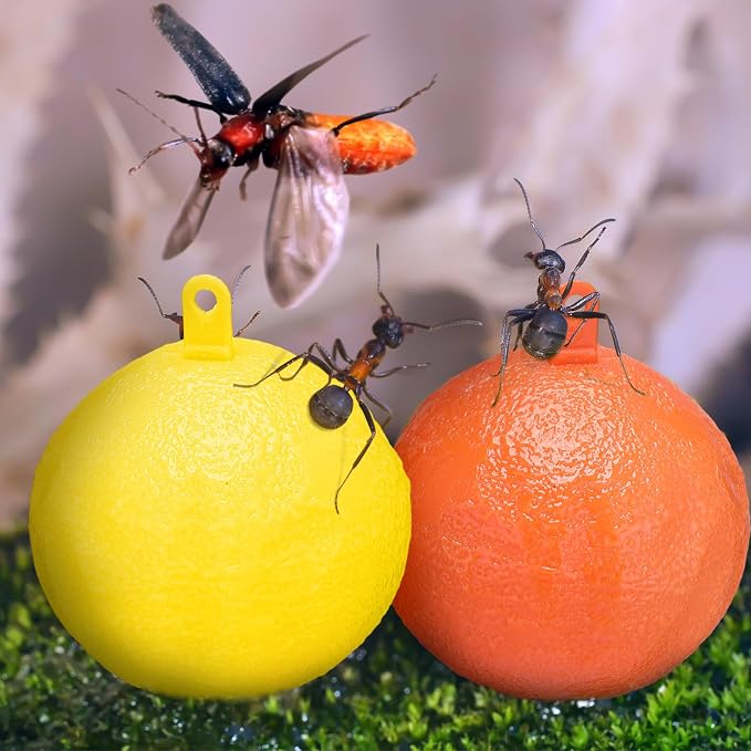 Yellow, Orange