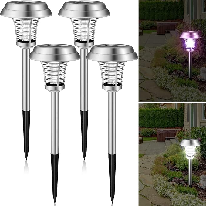Silver Exterior, Purple, White Light