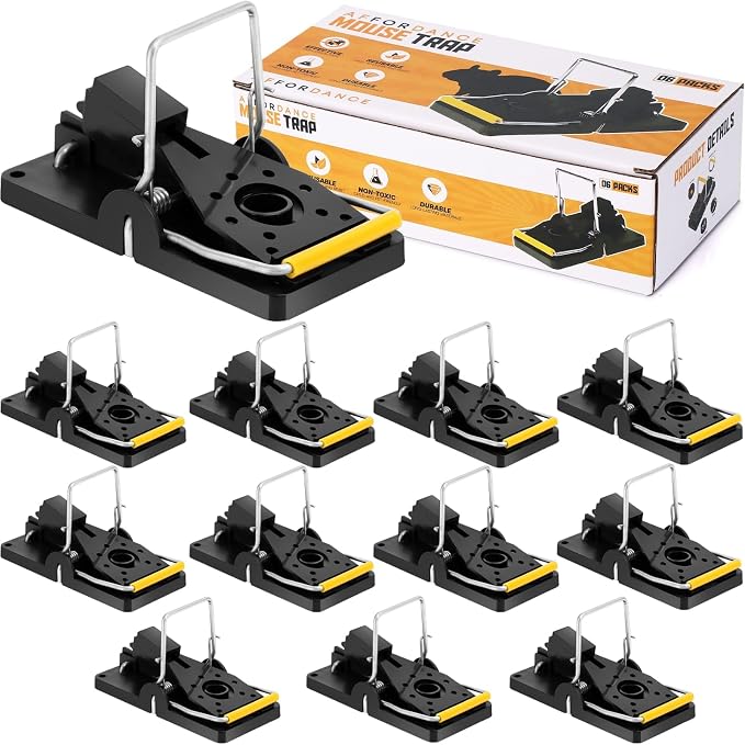 Pack of 12