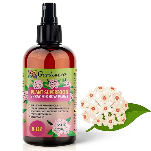 HOYA Plants Superfood