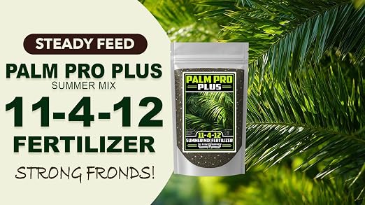 Palm Pro Plus Summer Mix