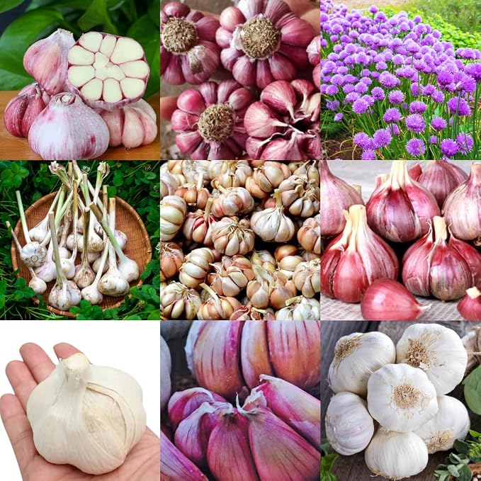 Mix