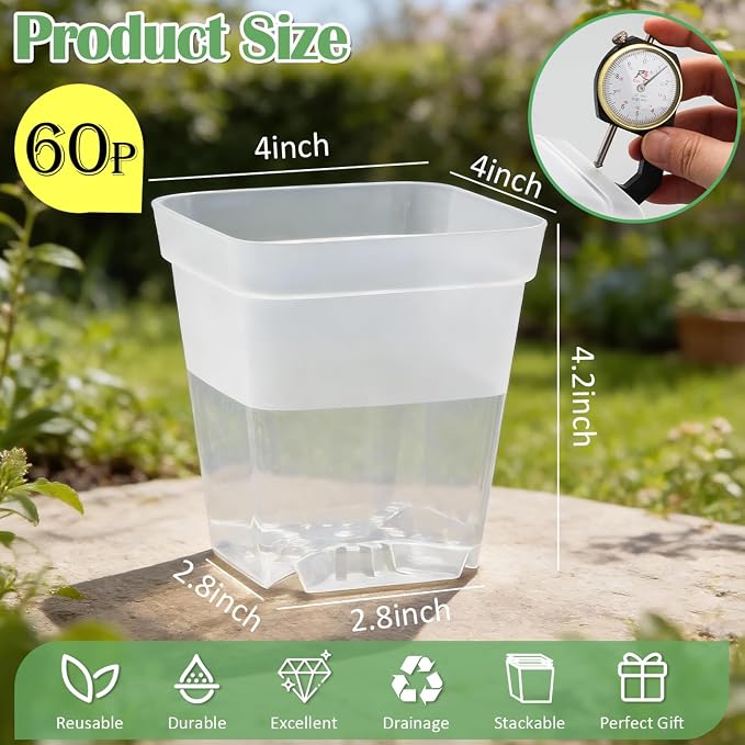 Clear-60p