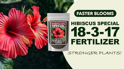 Tropical Flower Special