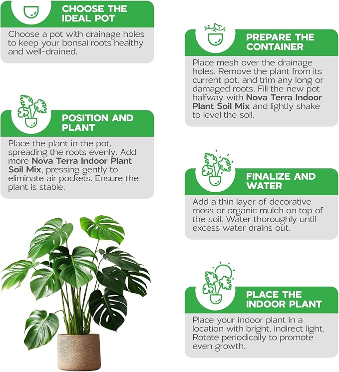 Indoor Plant Soil