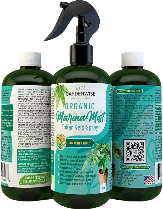 Marina Mist Money Tree Spray