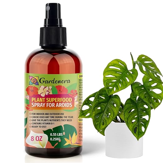 AROID Plants Superfood