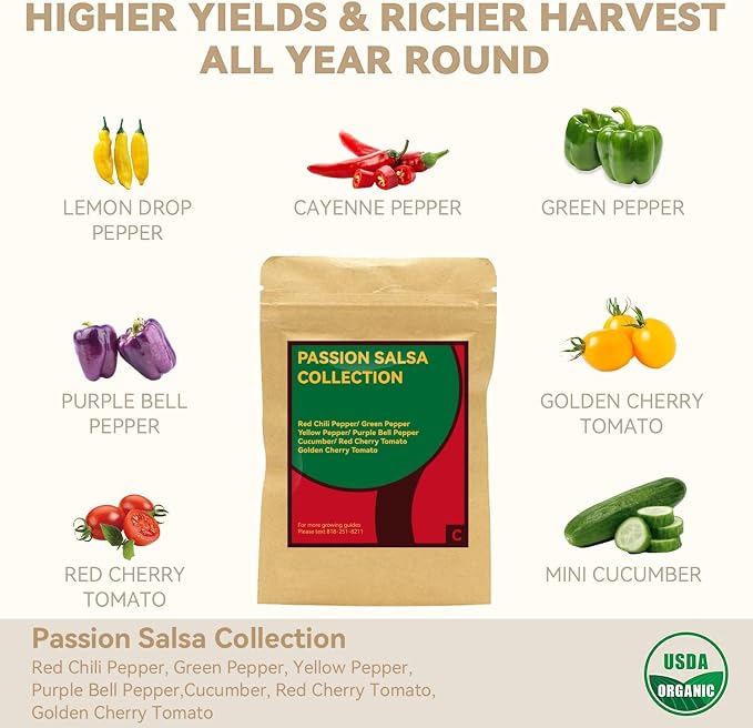 Salsa