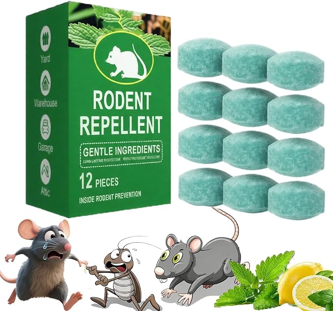 12PCS