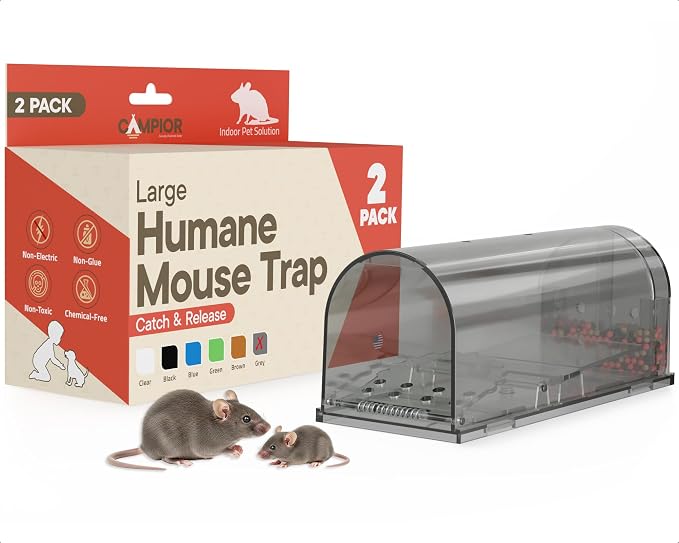 __DEFAULT__