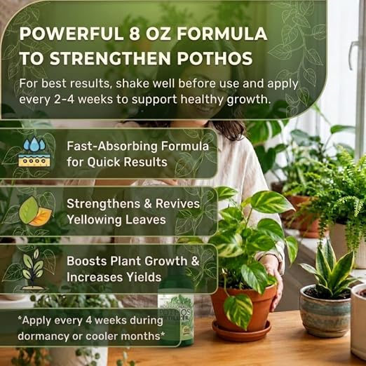 Pothos