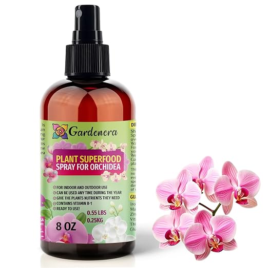 ORCHID Plants Superfood