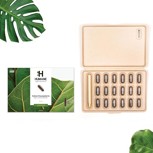 Houseplant