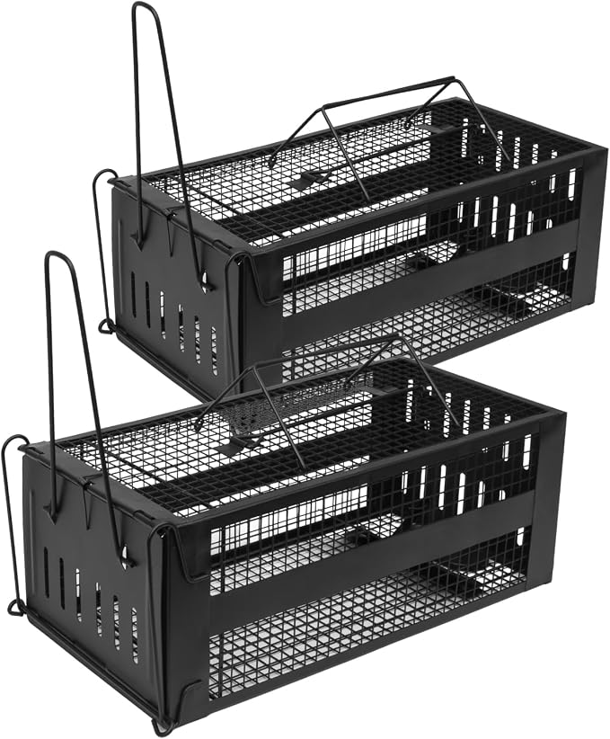 Black-(Set of 2)