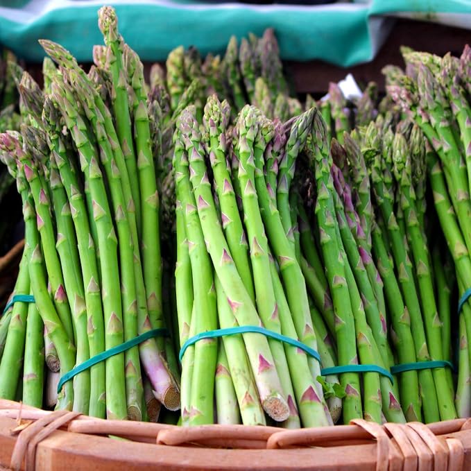Green Asparagus